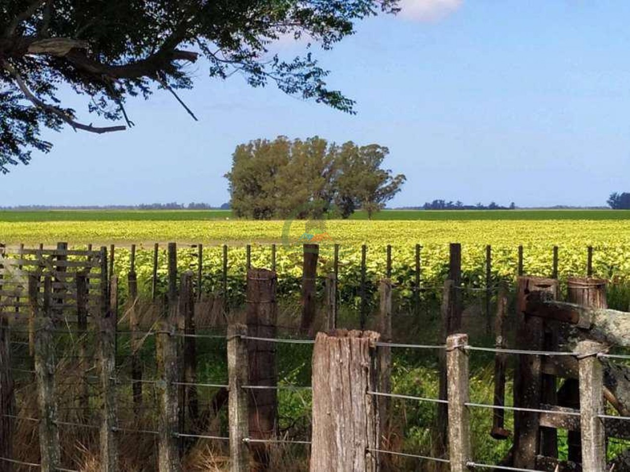 408 Ha Agricola - Miramar