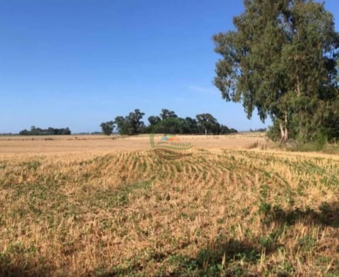40,3 ha Mixtas - Saladillo