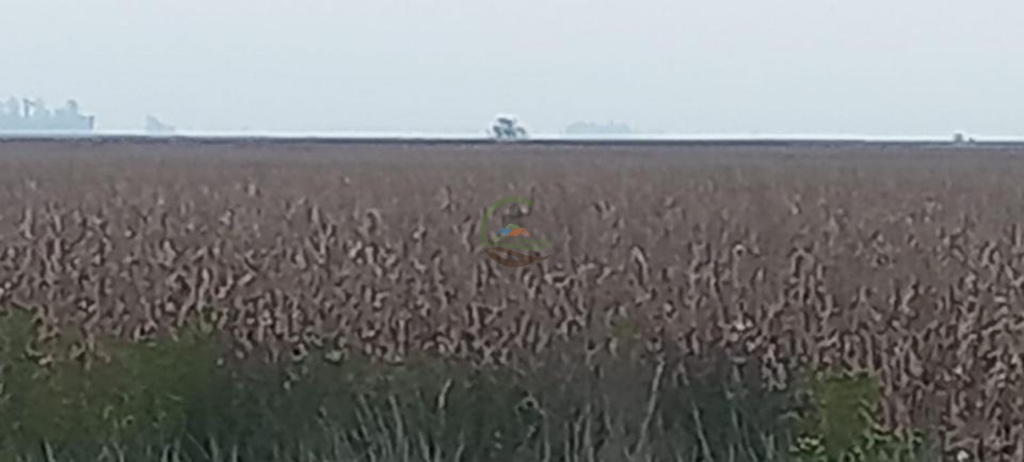 180 Ha Agricolas - Hale - Bolivar