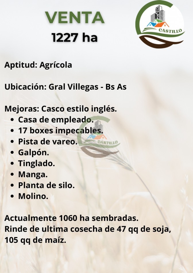 1227 ha Agricolas - villegas