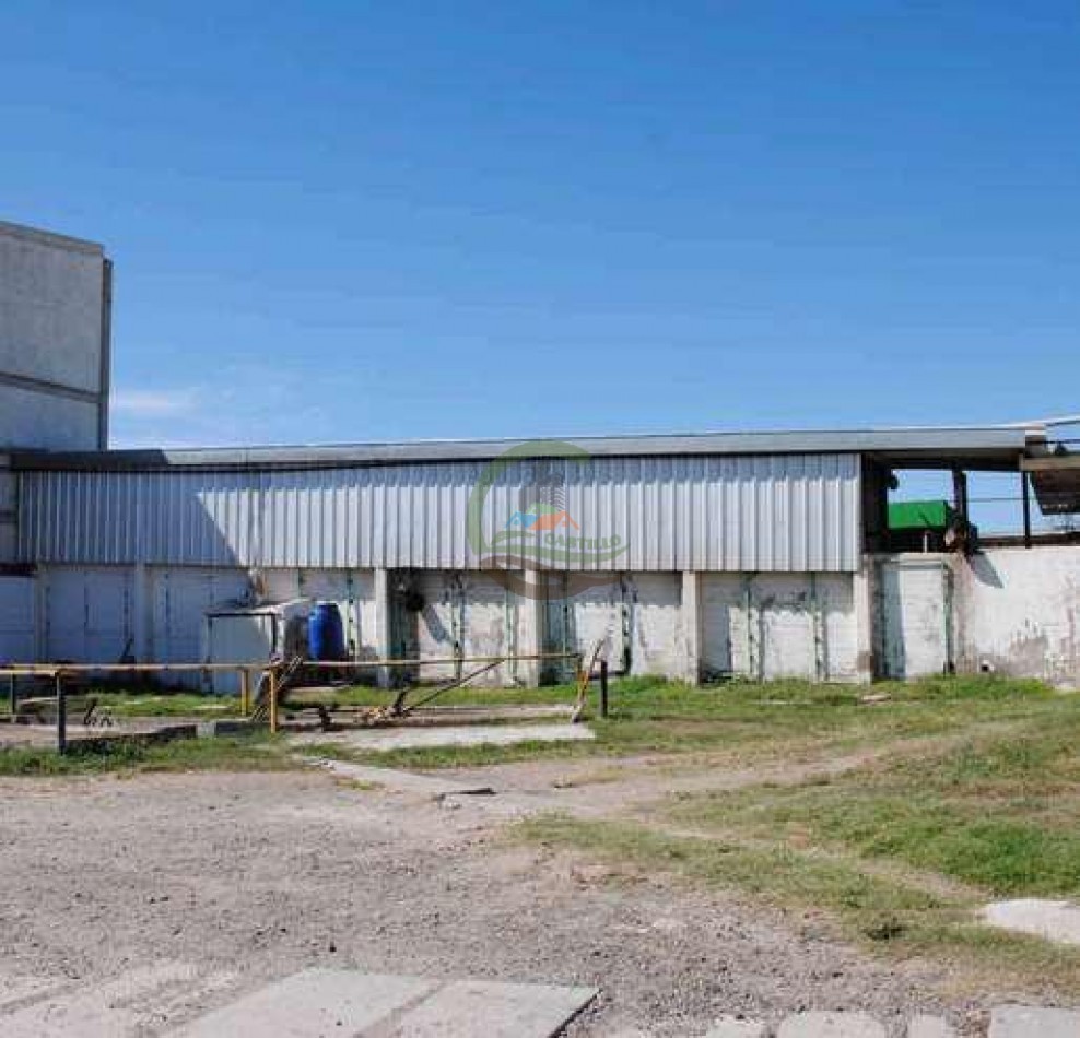 Frigorifico - con feedlot- Exportadora - La Adela - La Pampa