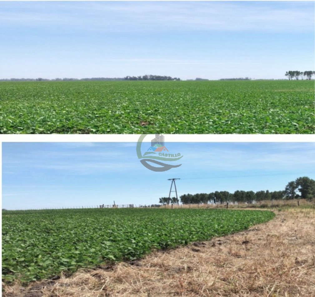 90 ha Mixtas - Pueblitos