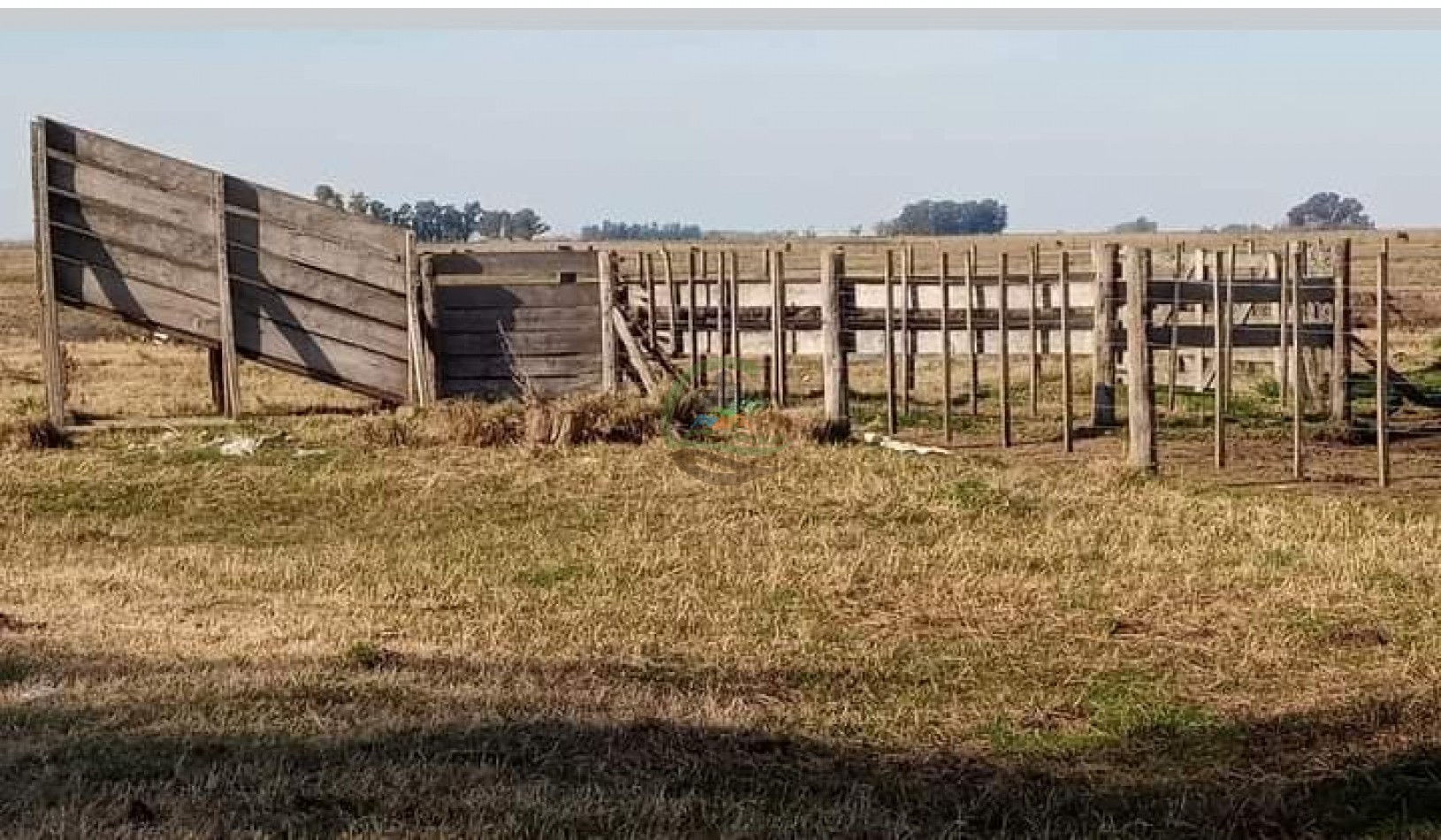 200 ha MIxtas . Tapalque 