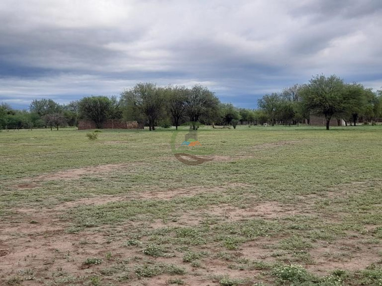 927 Ha Mixto - El Hormiguero - San Luis
