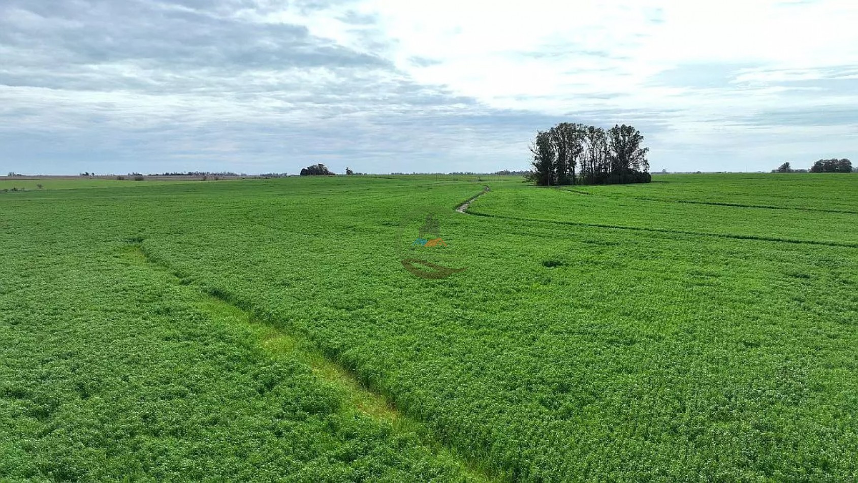 211 Ha Agricolas - Arrecifes