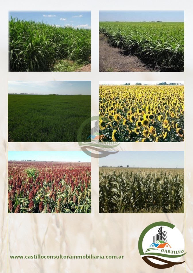 930 ha agricolas - bordenave