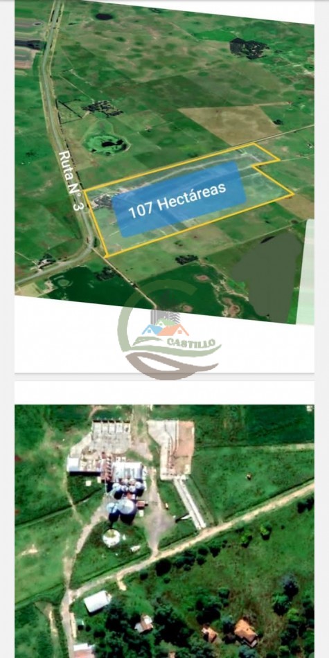 109 ha Feed Lot - Las Flores