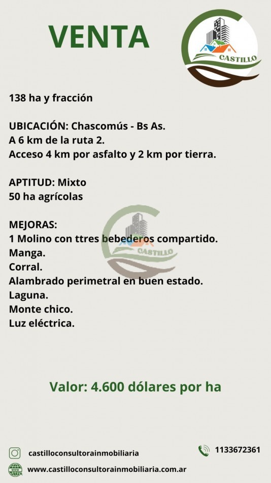 138 Ha Mixto - Chascomus