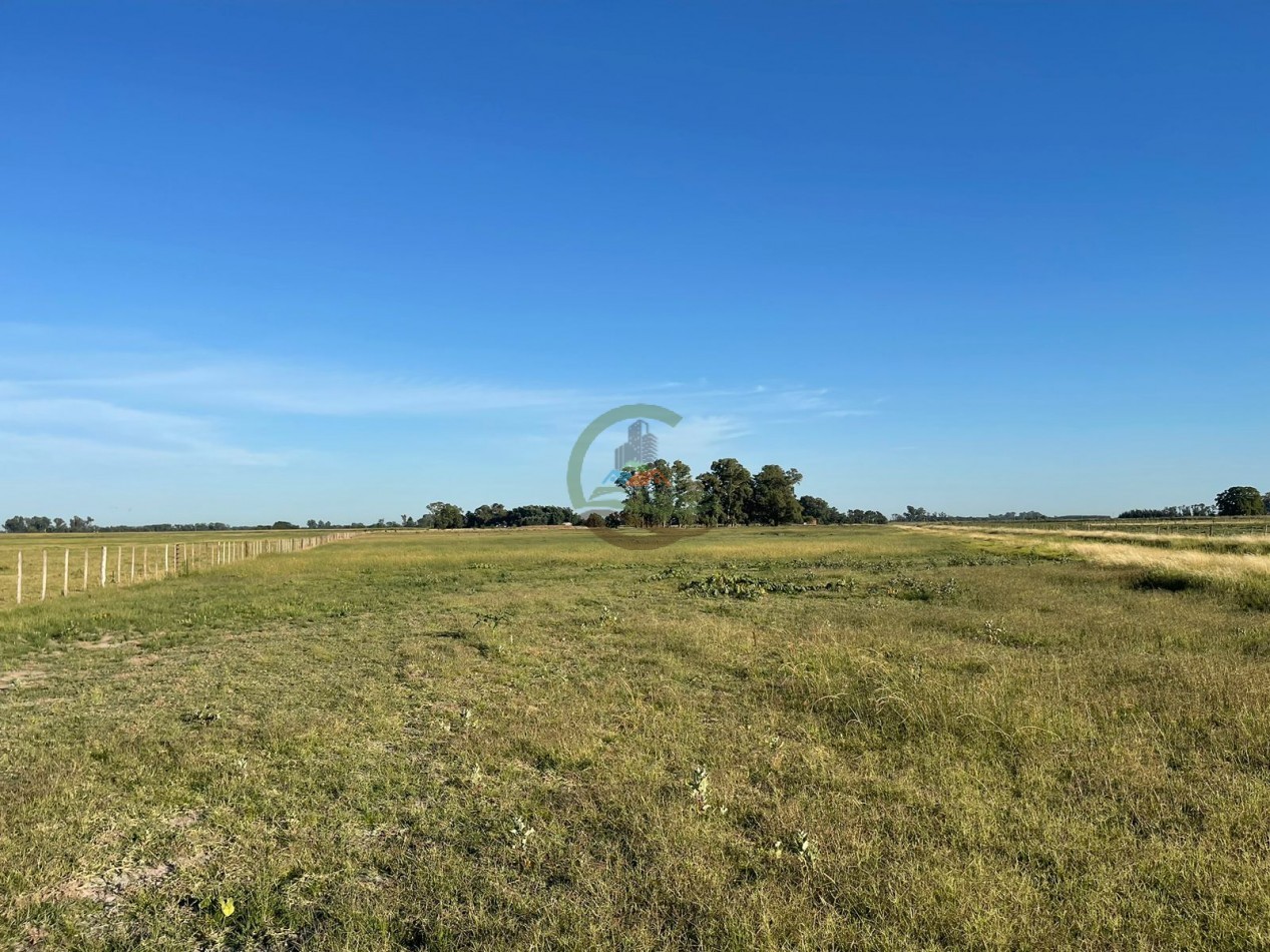 18 ha Mixtos - Pedernales