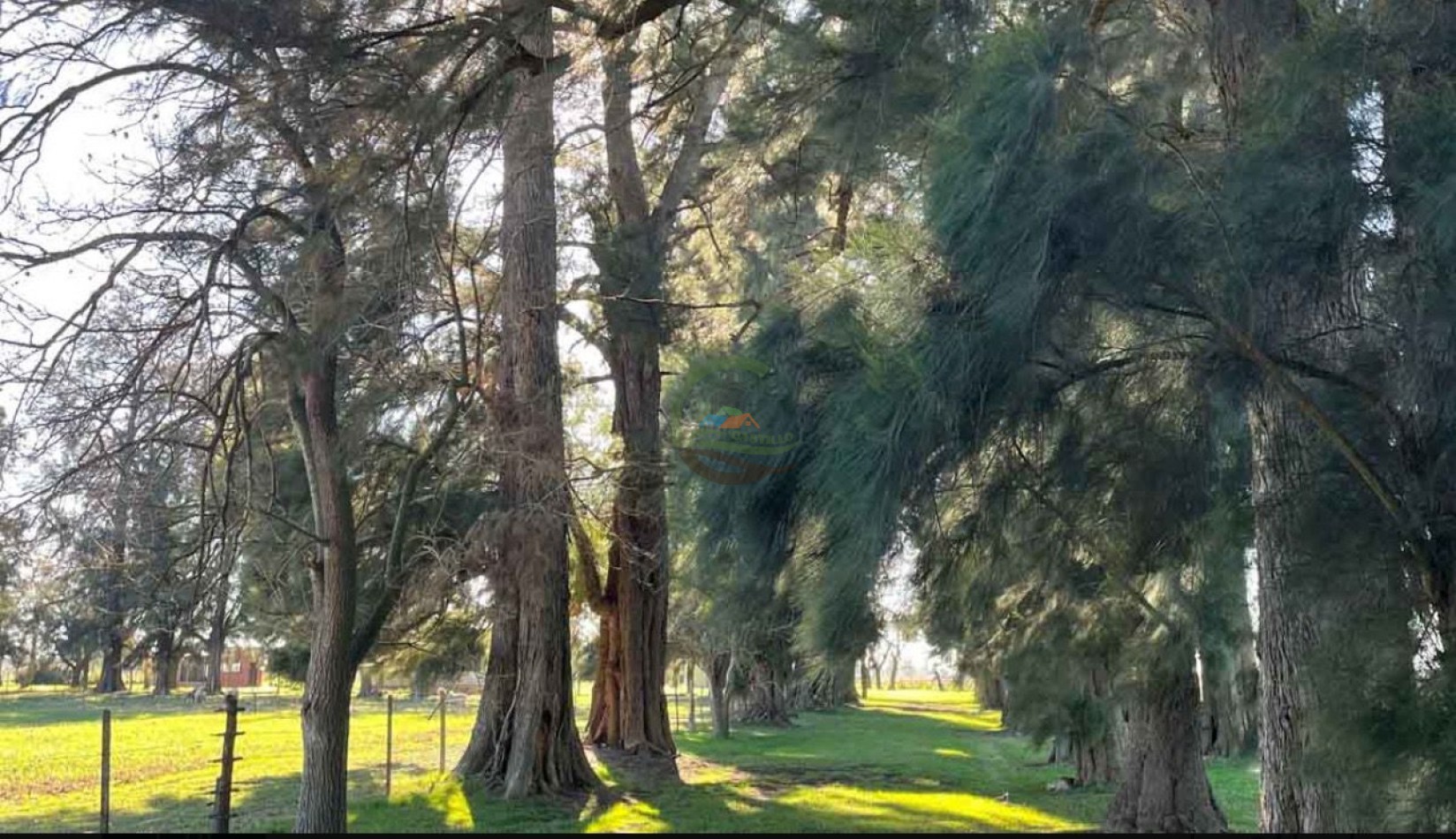 45 ha Agricolas - Lobos