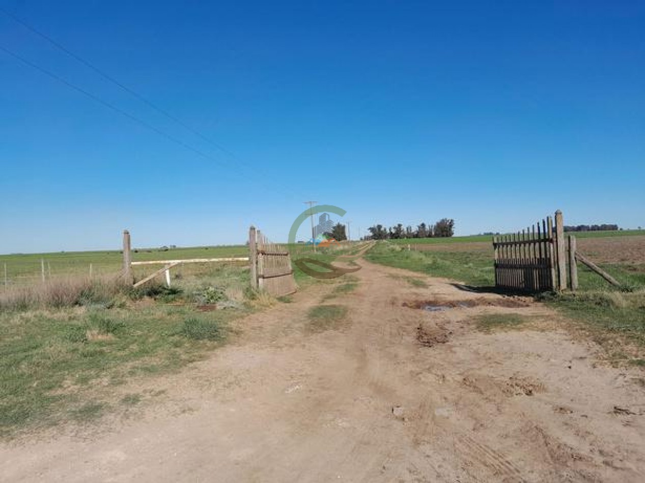 324 Ha Agricolas - San Cayetano