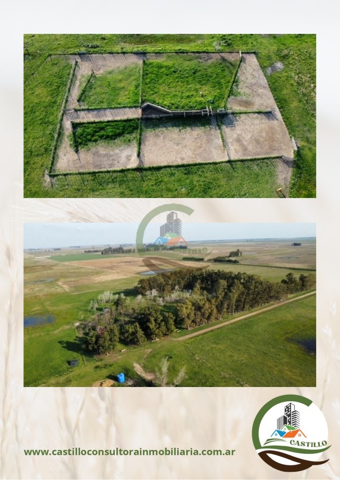 675 ha mixto - las flores