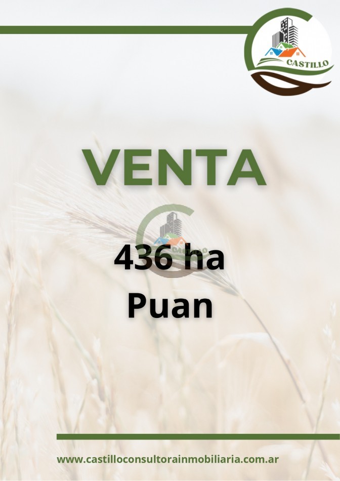 436 ha mixtas - puan