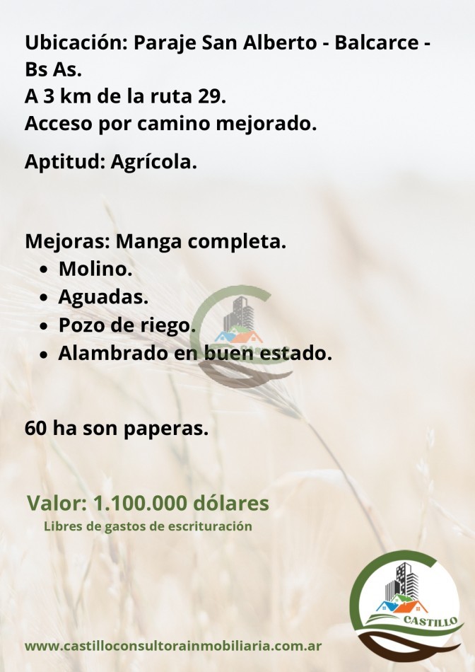 116 ha agricolas - balcarce