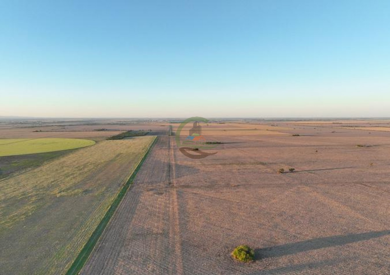 950 Ha Agricolas - Monte Cristo - Cordoba 