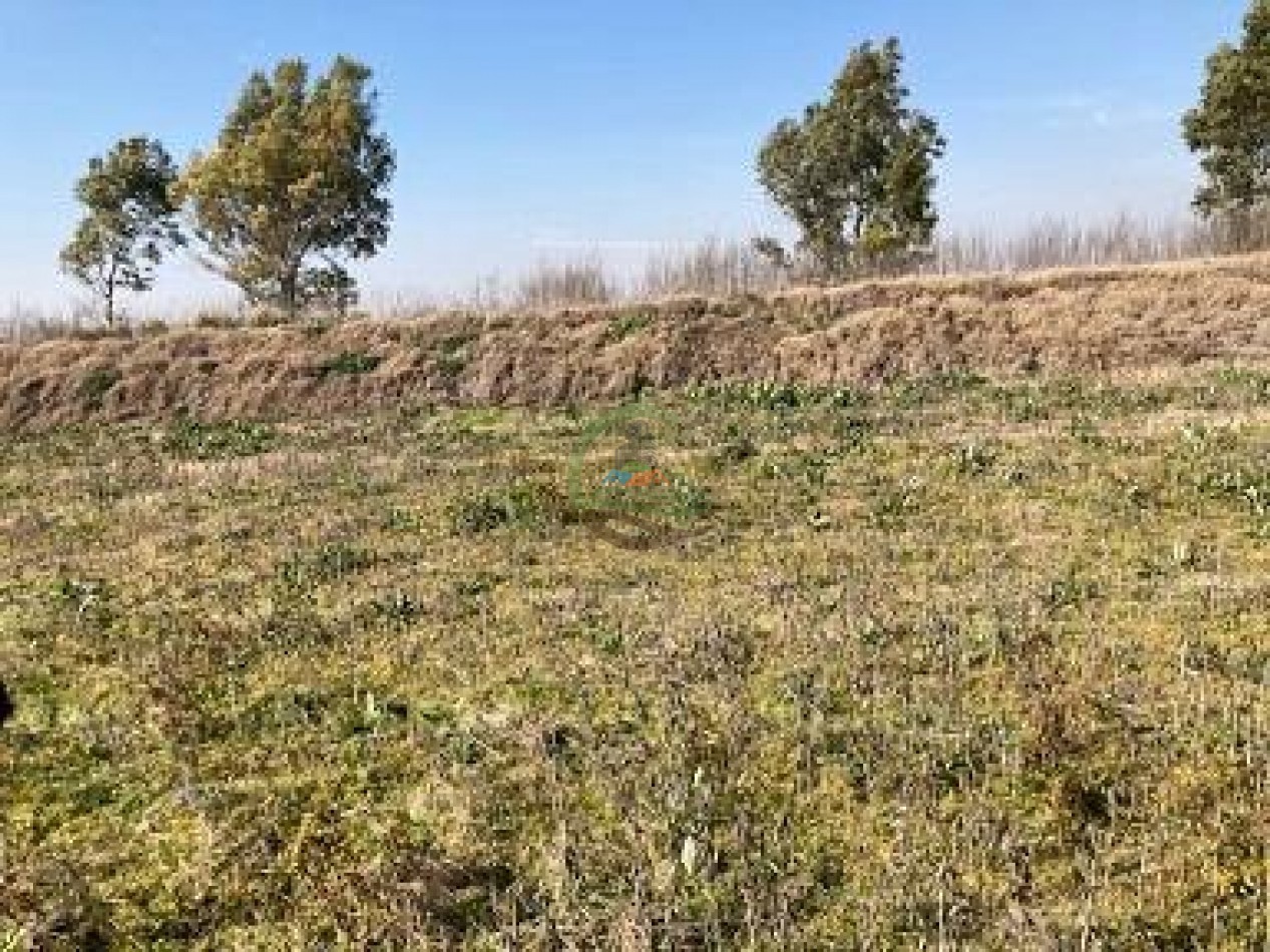 552 ha agricolas - gral alvear