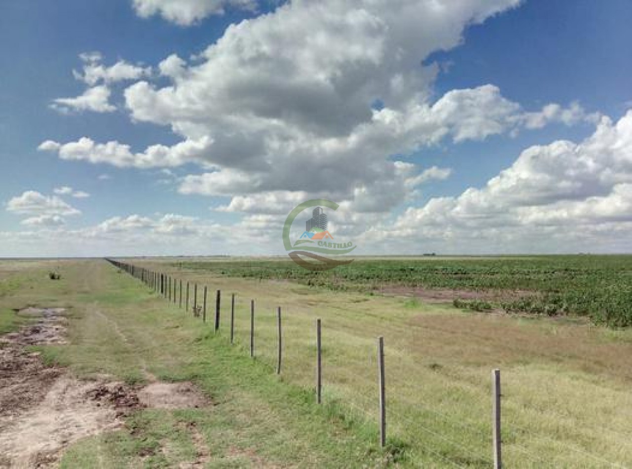 740 Ha Agricolas - Laboulaye - Cordoba