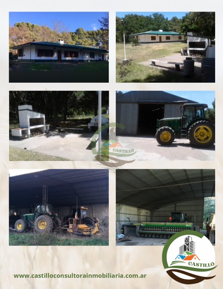 2500 ha mixtas - pedro luro