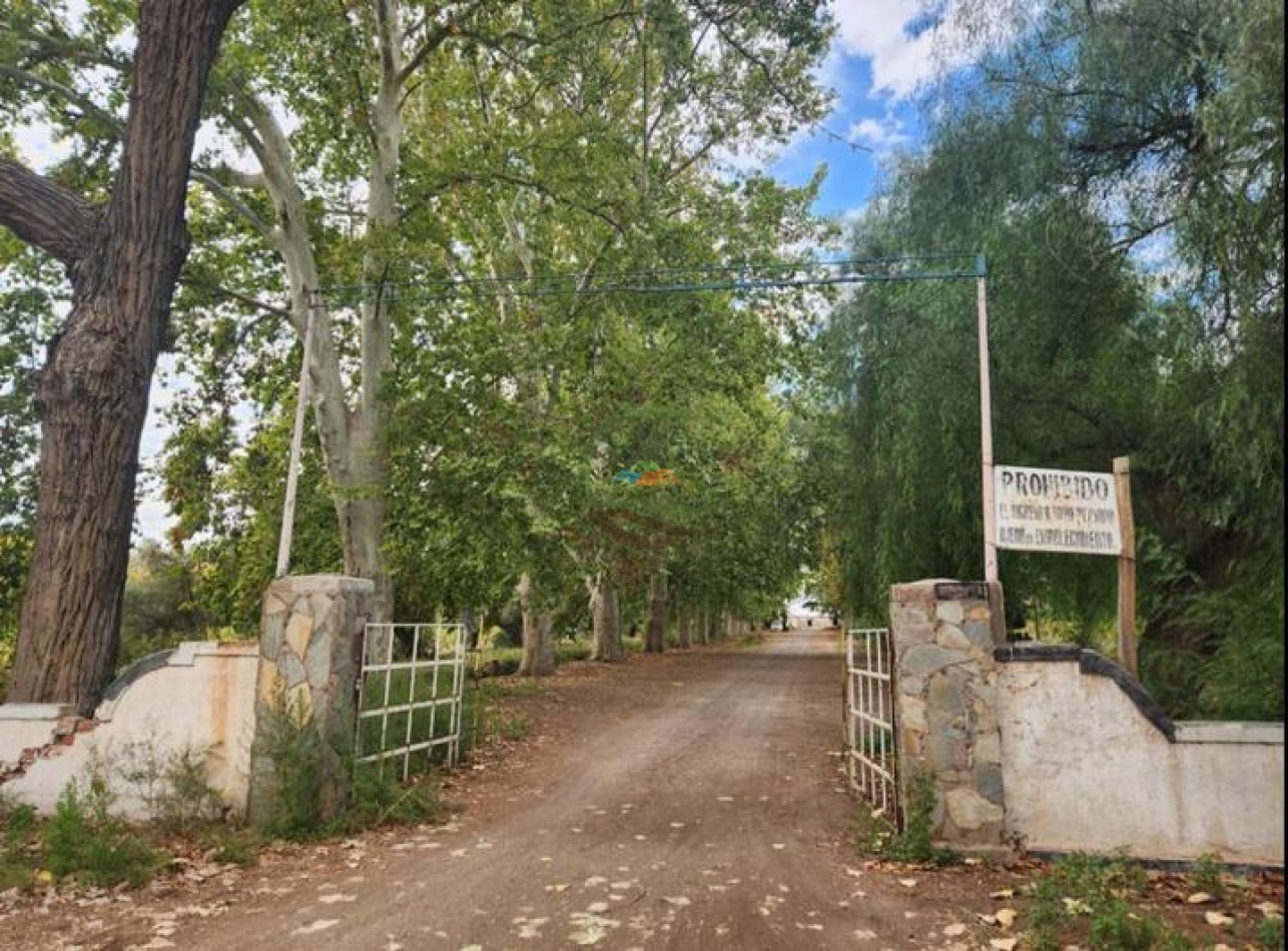 80 Ha Agricolas - San Martin - Mendoza