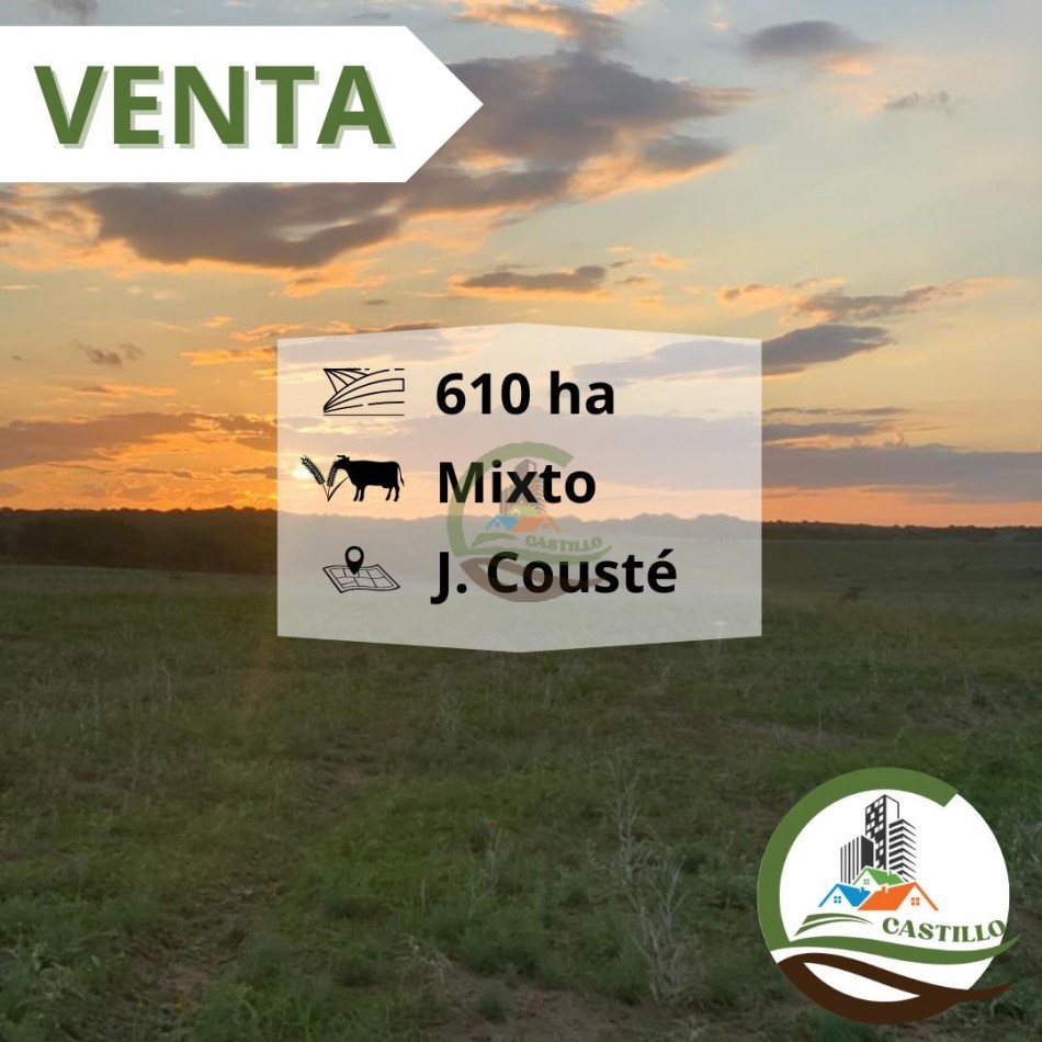 650 ha Mixto - Juan Couste