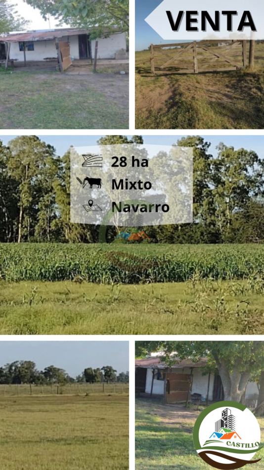 28 ha mixto - navarro