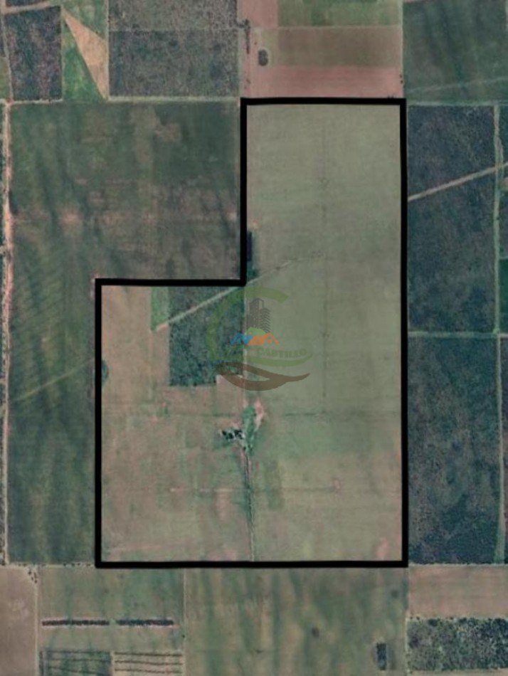 520 Ha Agricolas - Villa Mercedes - San Luis