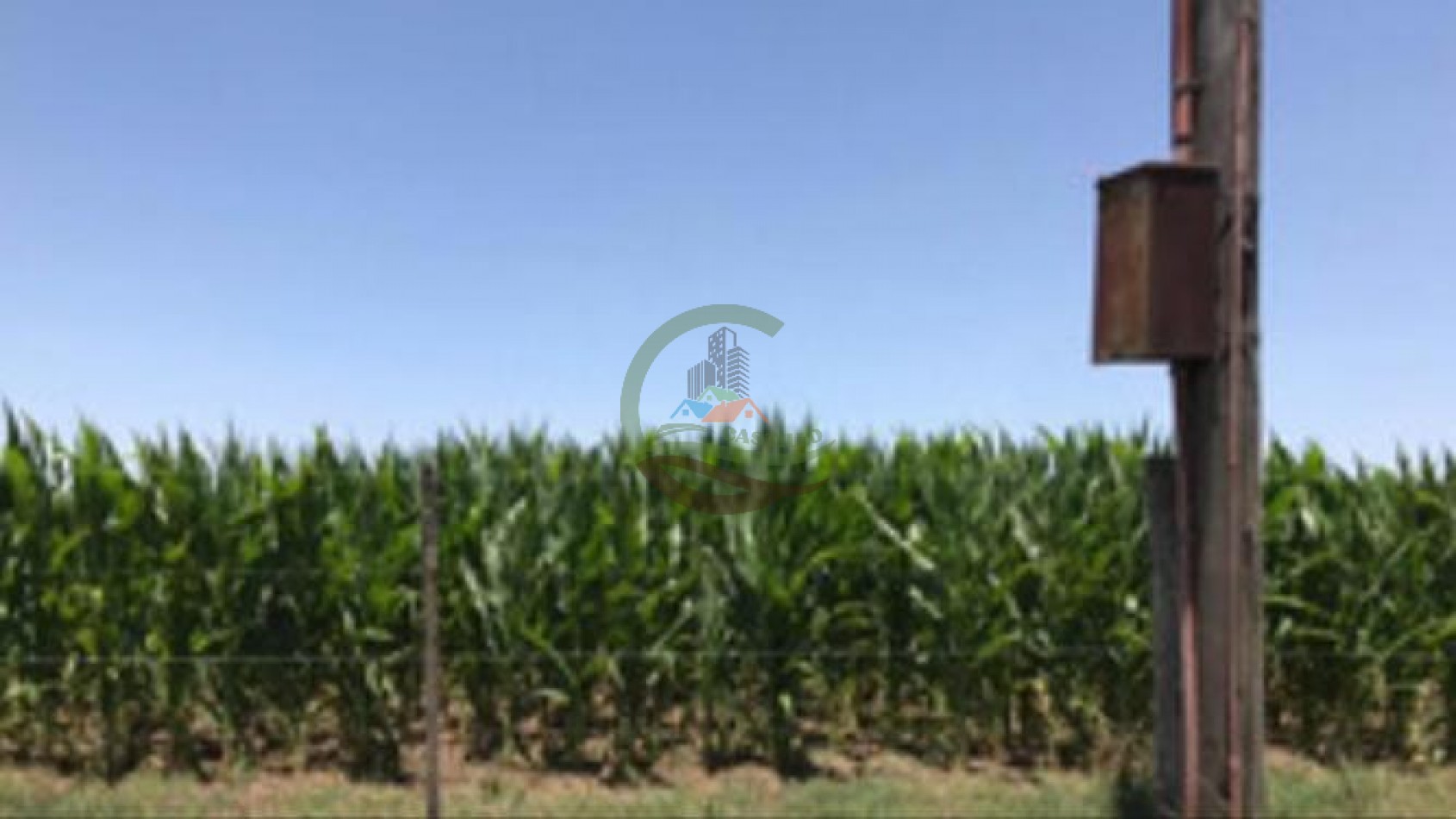 177 ha Mixtas - Pergamino 