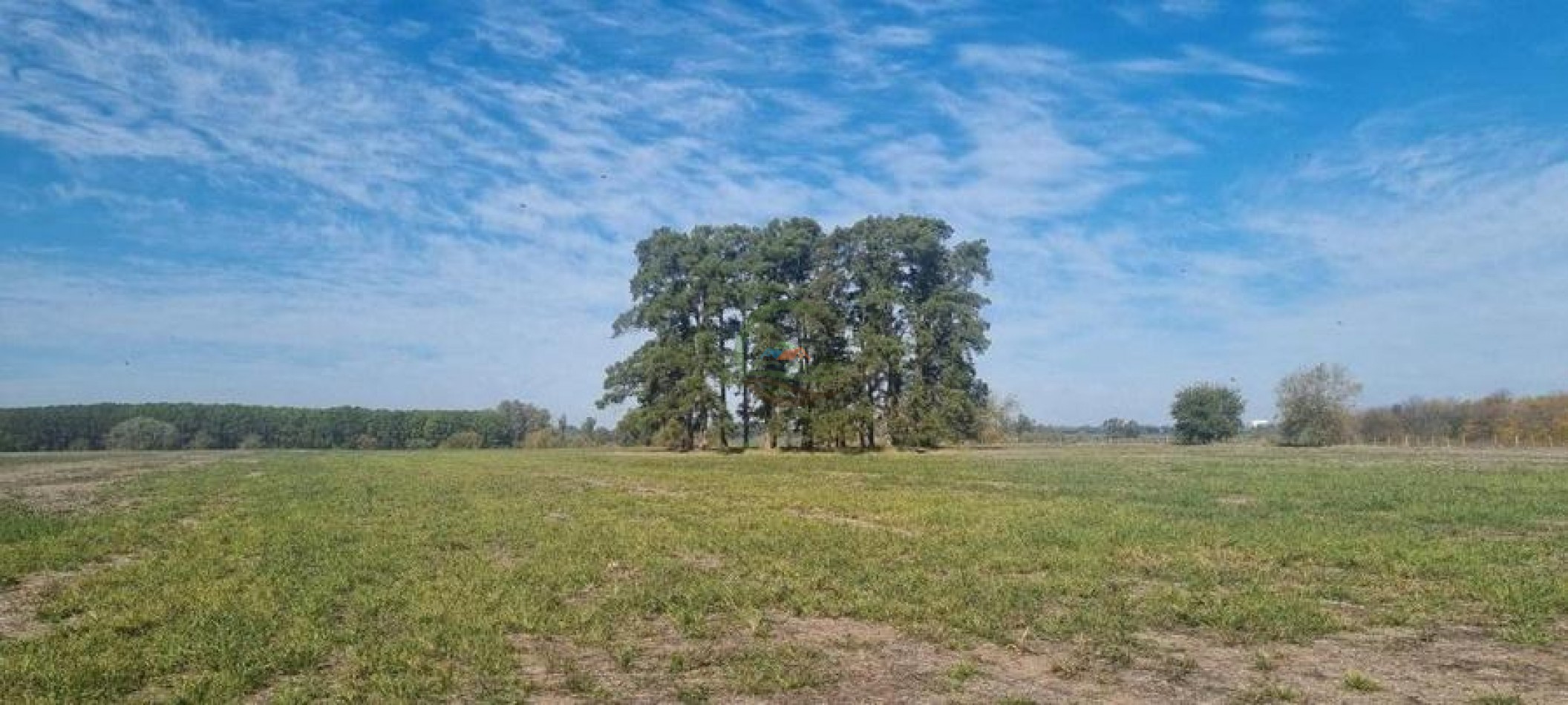 401 Ha Mixto - Lujan 
