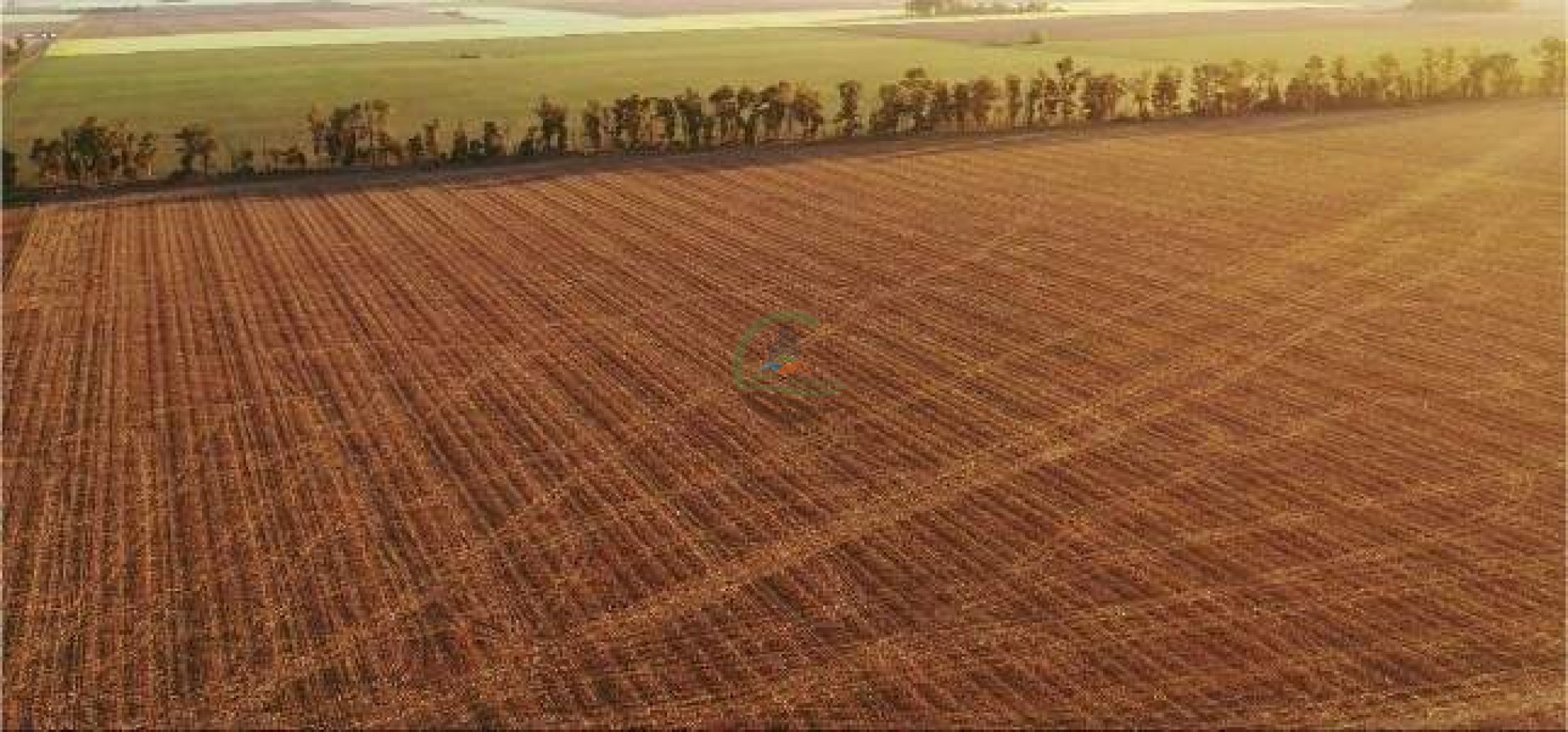 1138 ha agricolas - gral villegas