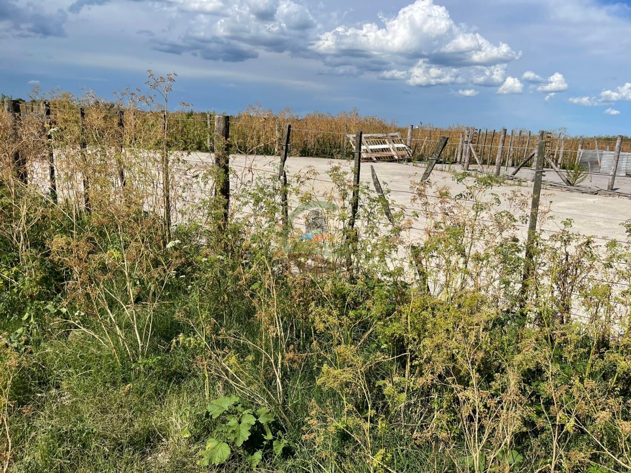 109 ha Feed Lot - Las Flores