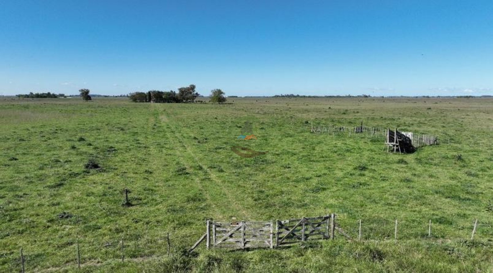 88 Ha Mixto - Udaondo - Cañuelas