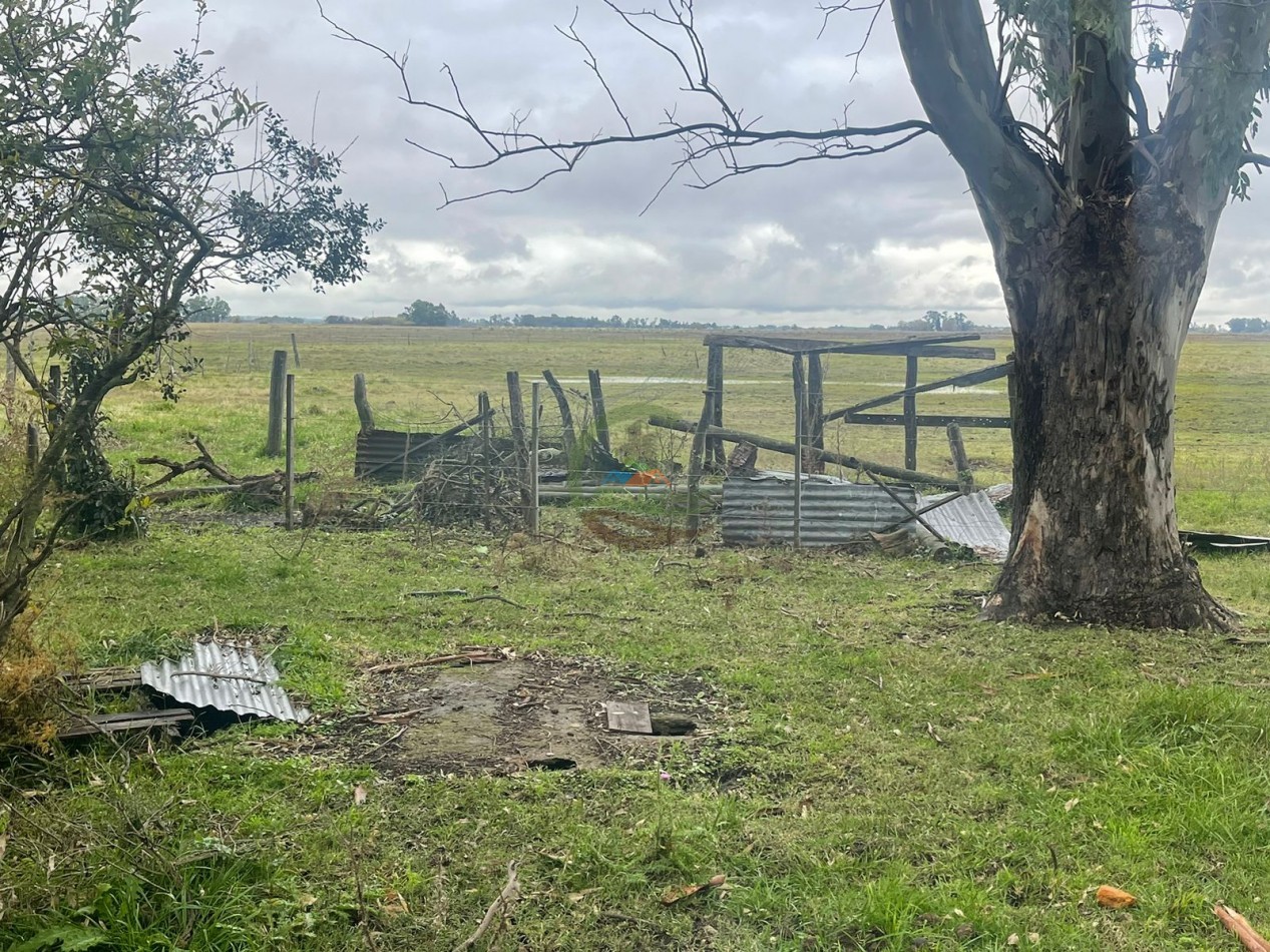 47 ha Ganadera - Olavarria