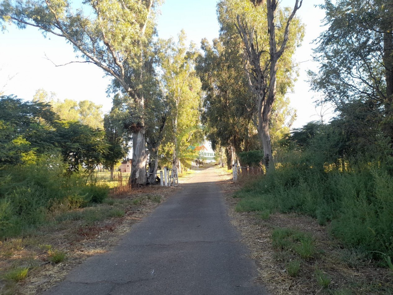 2200 Ha Agricolas - Laboulaye - Cordoba