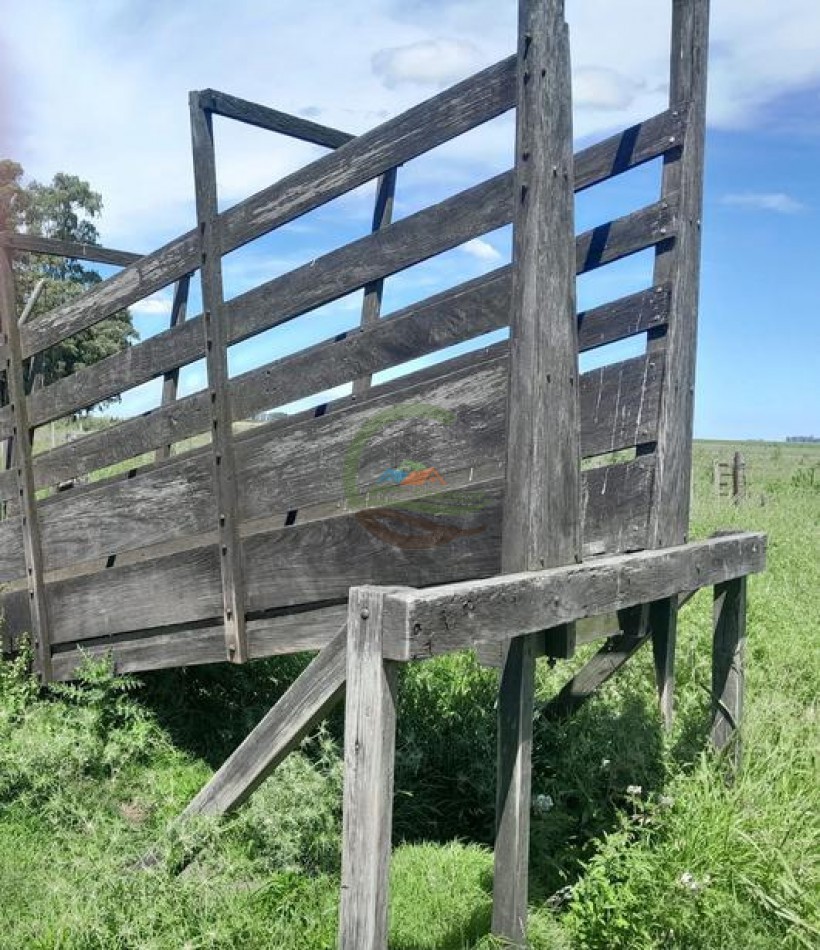 125 Ha MIxto - Bolivar