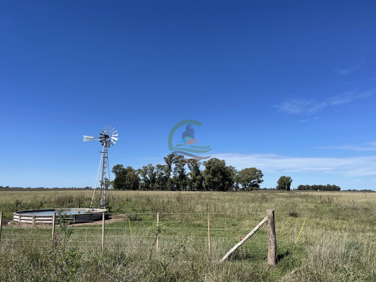 47 ha MIxta - Saladillo
