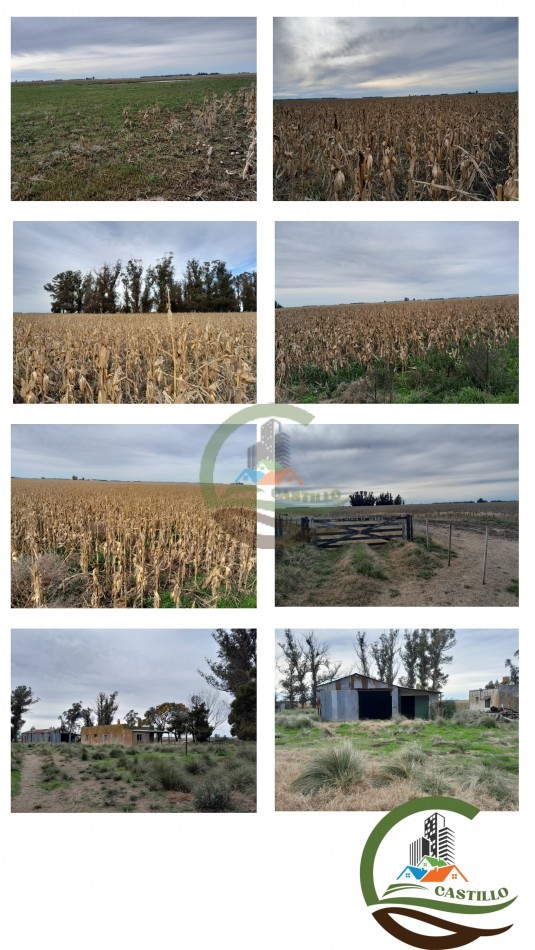 220 ha agricolas - san cayetano