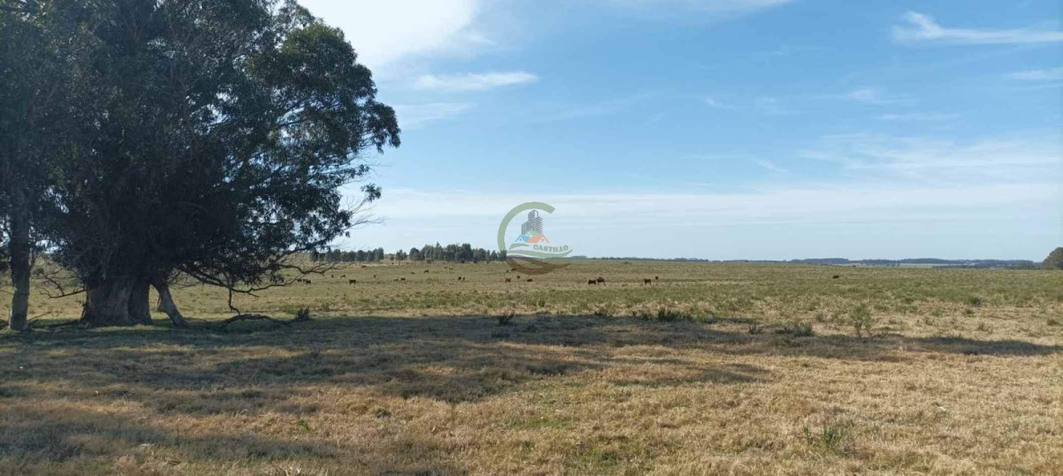 169 ha Mixtas - Maldonado - Uruguay
