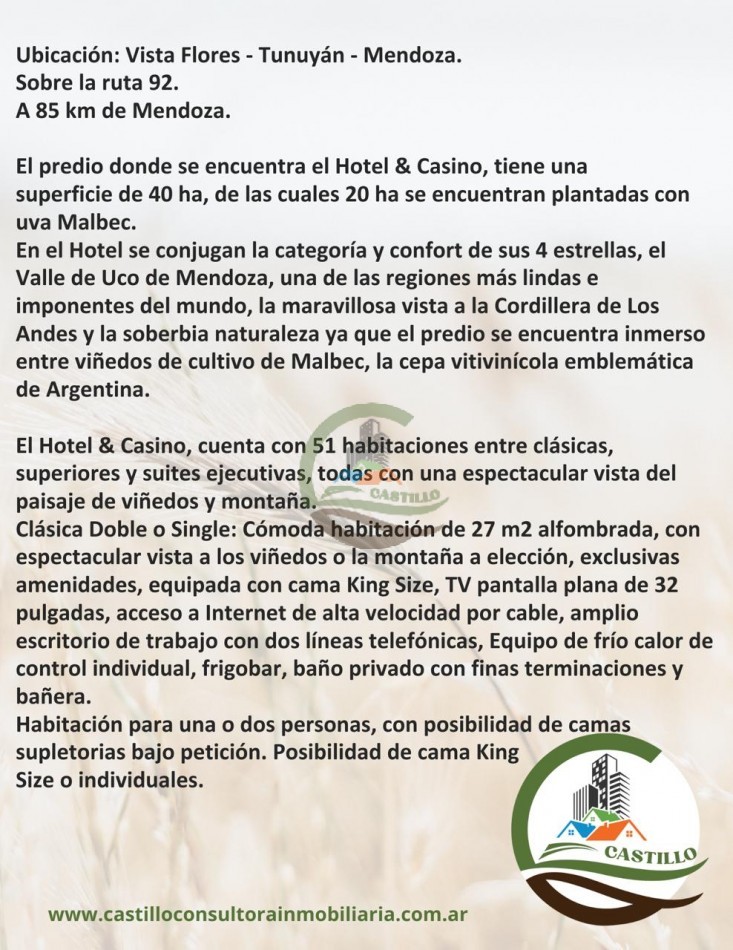 Hotel 4 estrellas y casino - Mendoza - ruta del vino