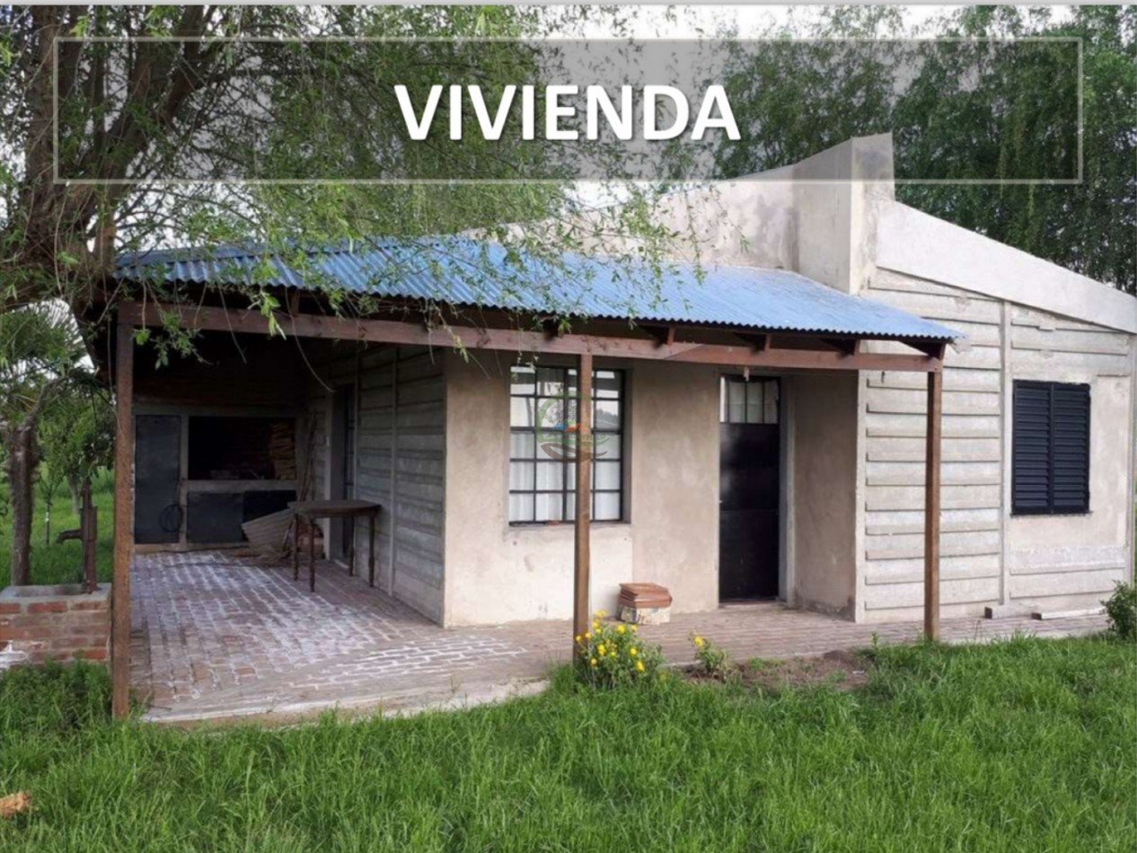 4,5 ha Mixta - Roque Perez