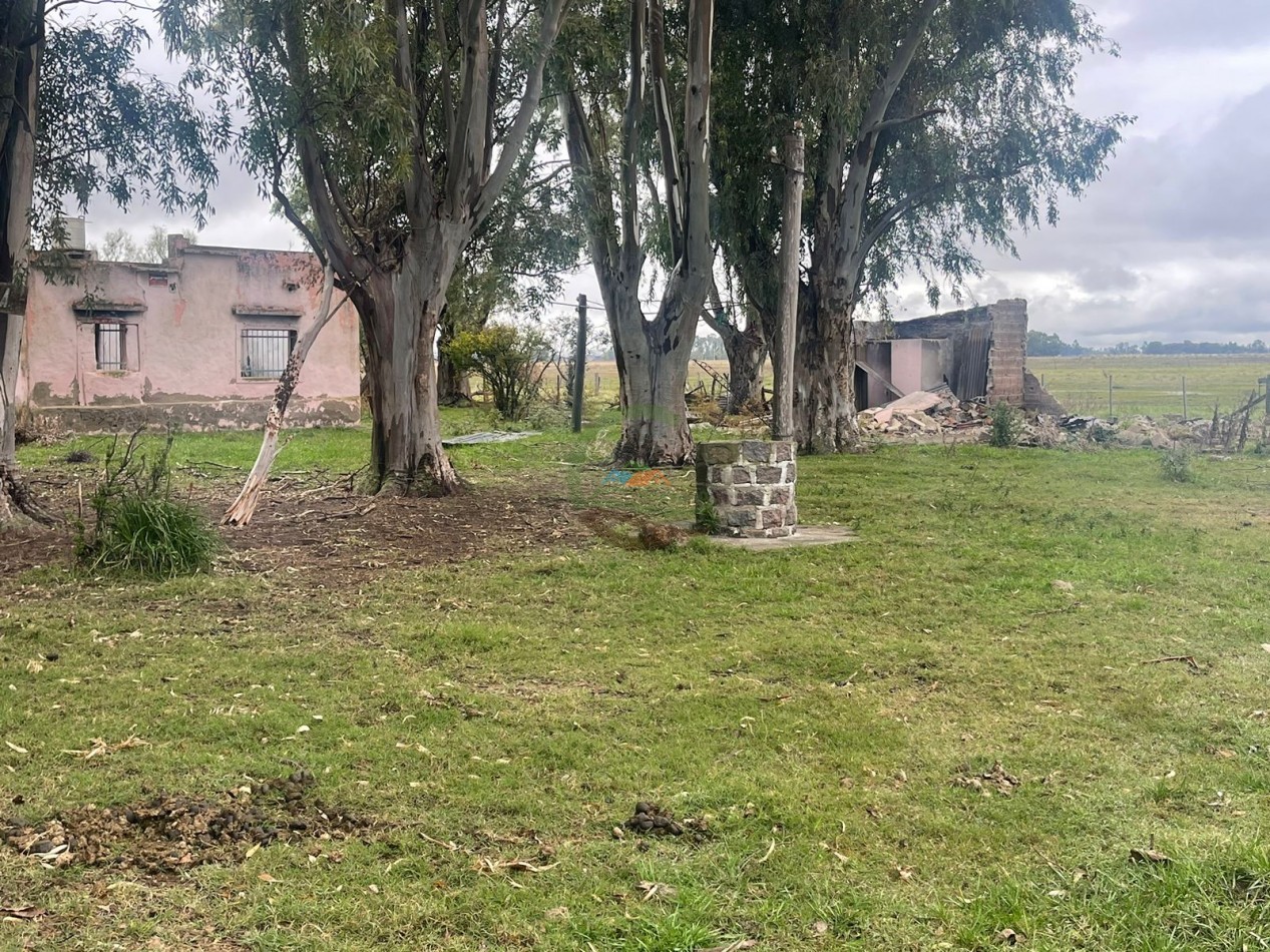 47 ha Ganadera - Olavarria