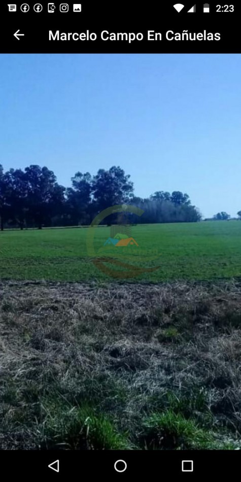 15 ha Agricolas - Cañuelas