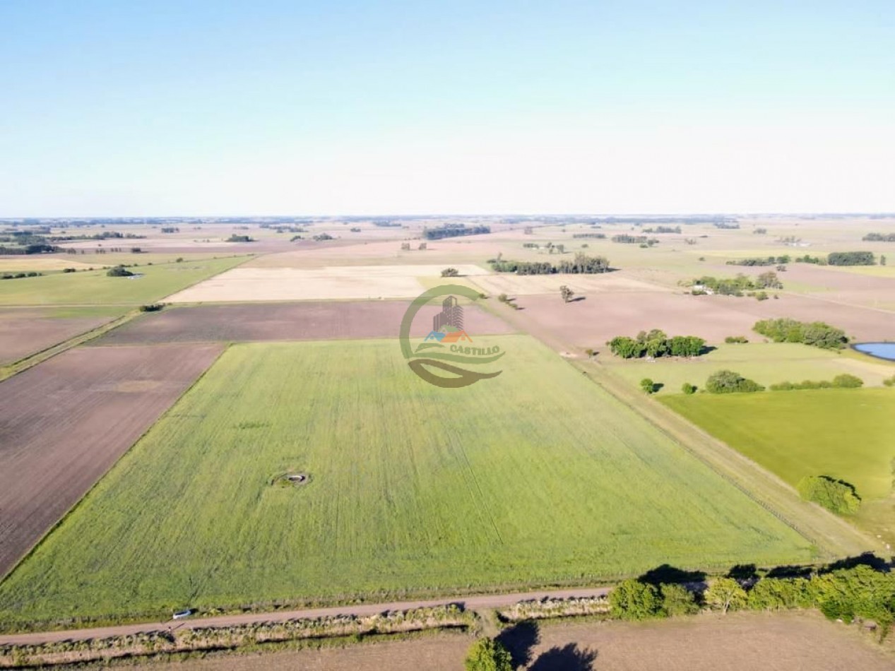 11 ha Agricolas - Saladillo