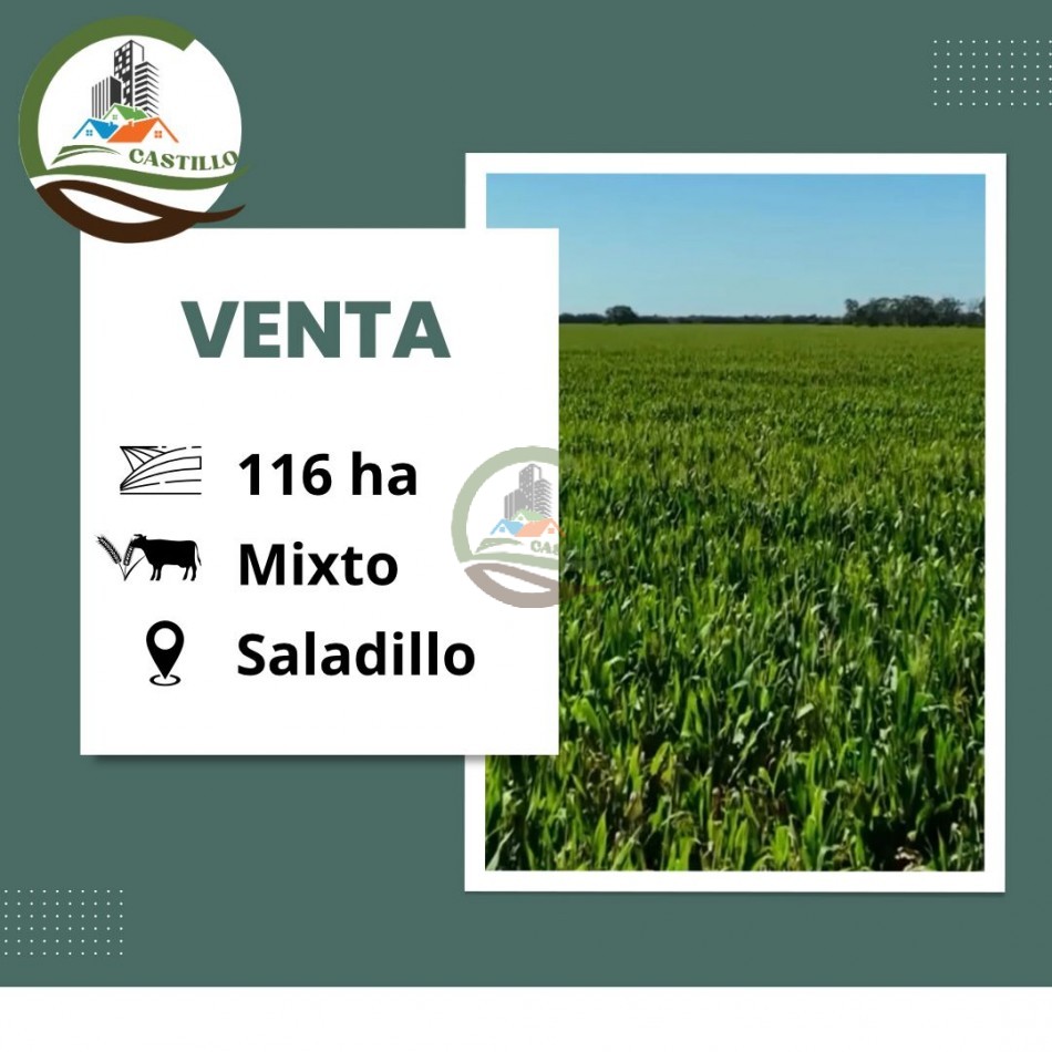 116 ha Agricola - Saladillo