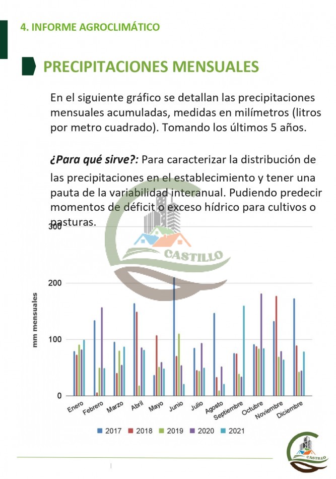 315 ha Mixto - Balcarce