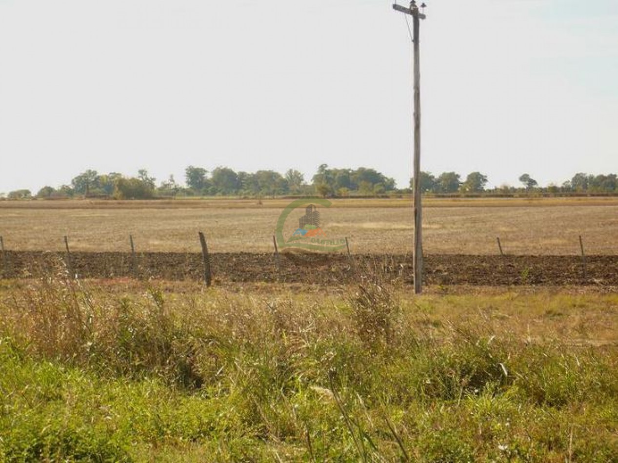 830 ha - Agricolas - Santa fe