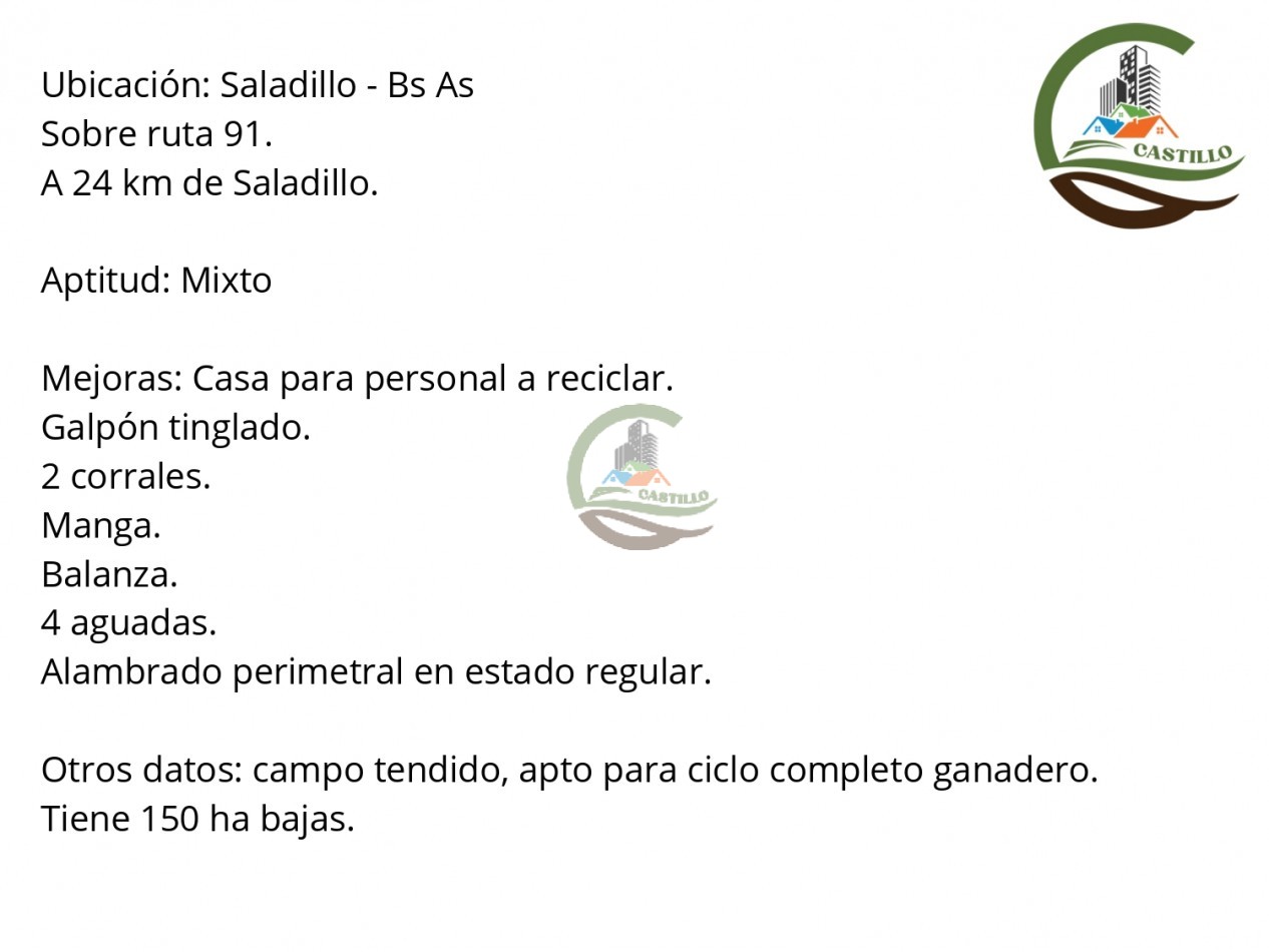 1025 ha mixta - saladillo