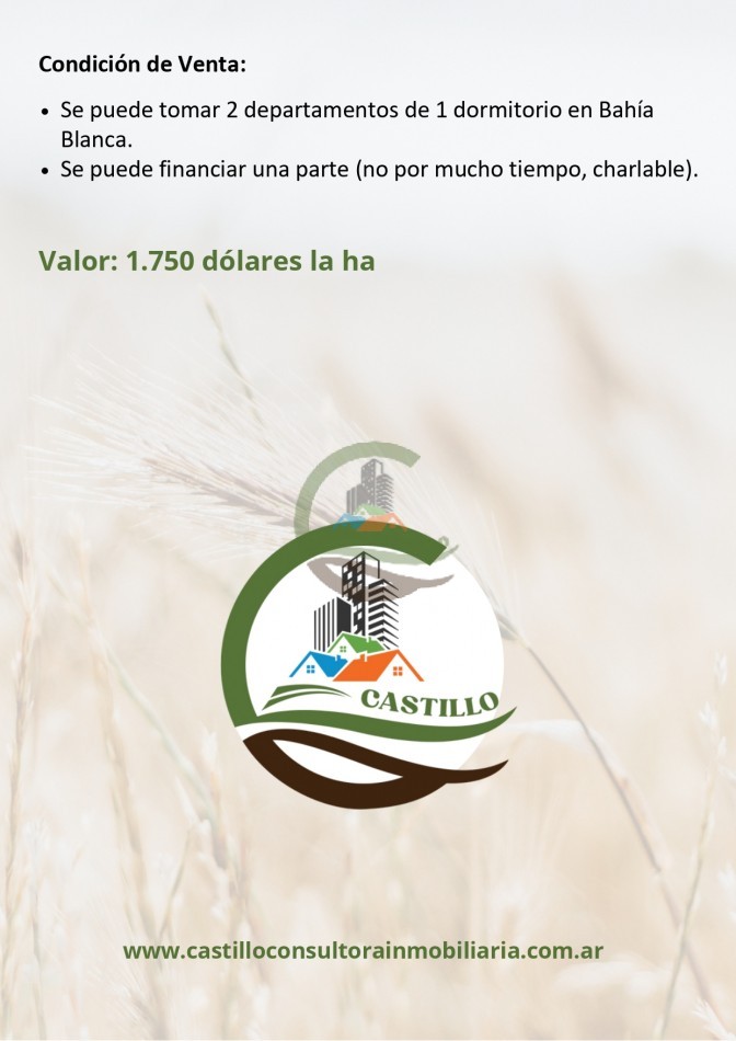 414 ha mixtas - tornquist