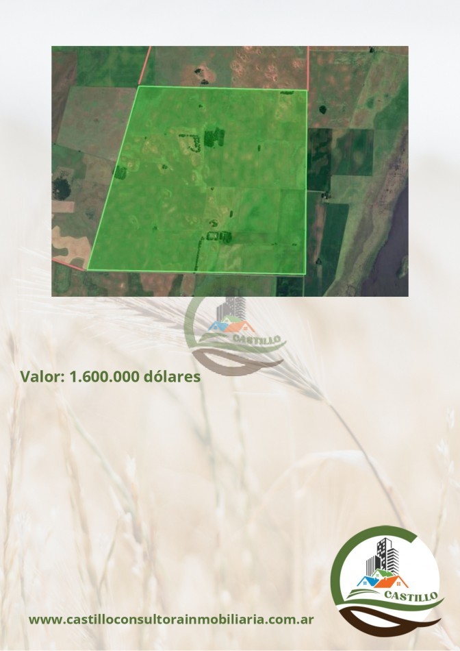 400 ha mixtas - guamini
