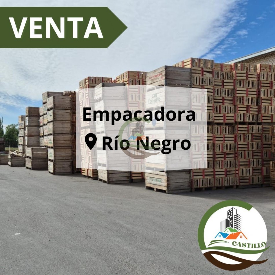 Empacadora de frutas