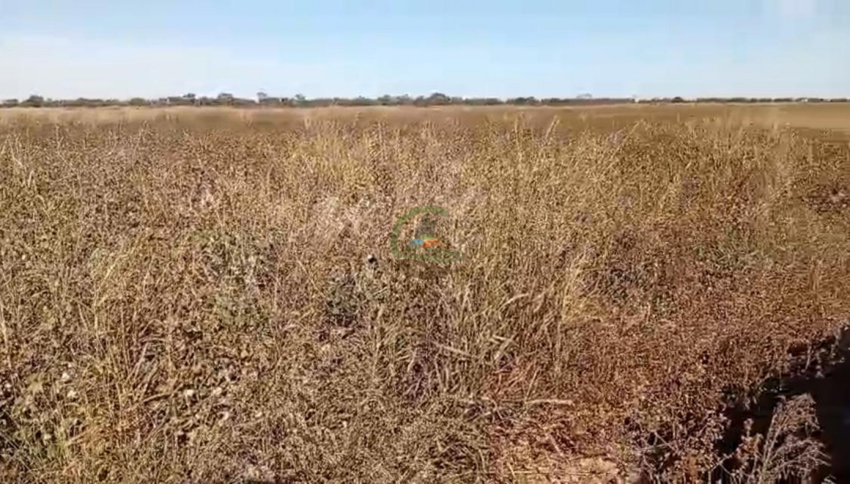 1300 Ha Agricolas - Fernandez - Santiago del Estero